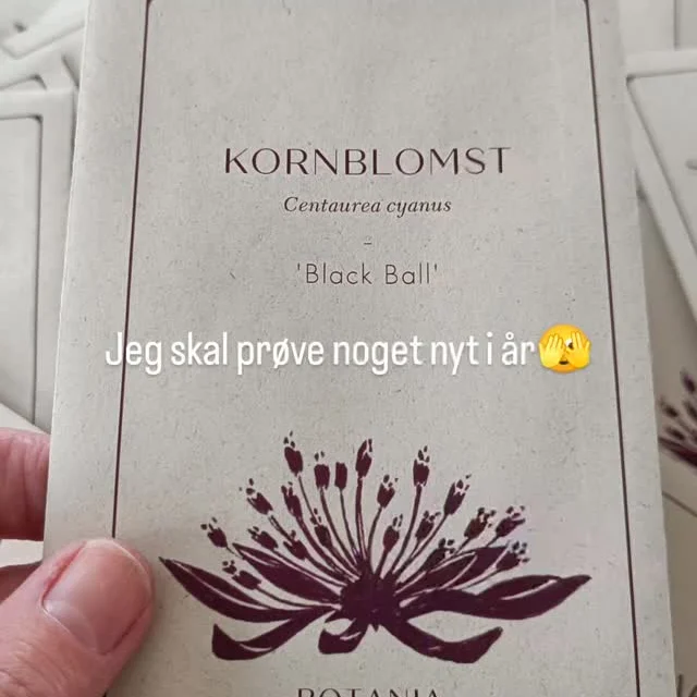 I kan finde mig i min have lige så snart vejret tillader det.